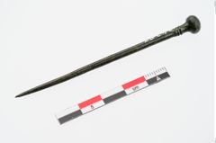 Foto von Kugelkopfnadel (NHMW-PRAE-024367)